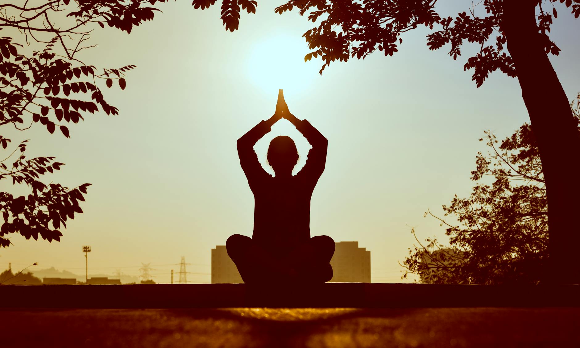 Why Yoga and Meditation Can’t Fully Regulate Your Nervous System